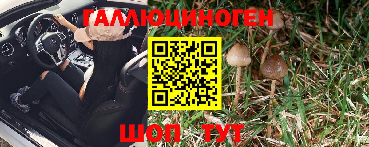 Каменск-Уральский  Псилоцибиновые грибы Psilocybe  Вход с VPN 